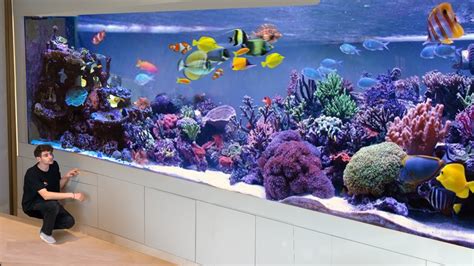Good aquarium, but pricey .